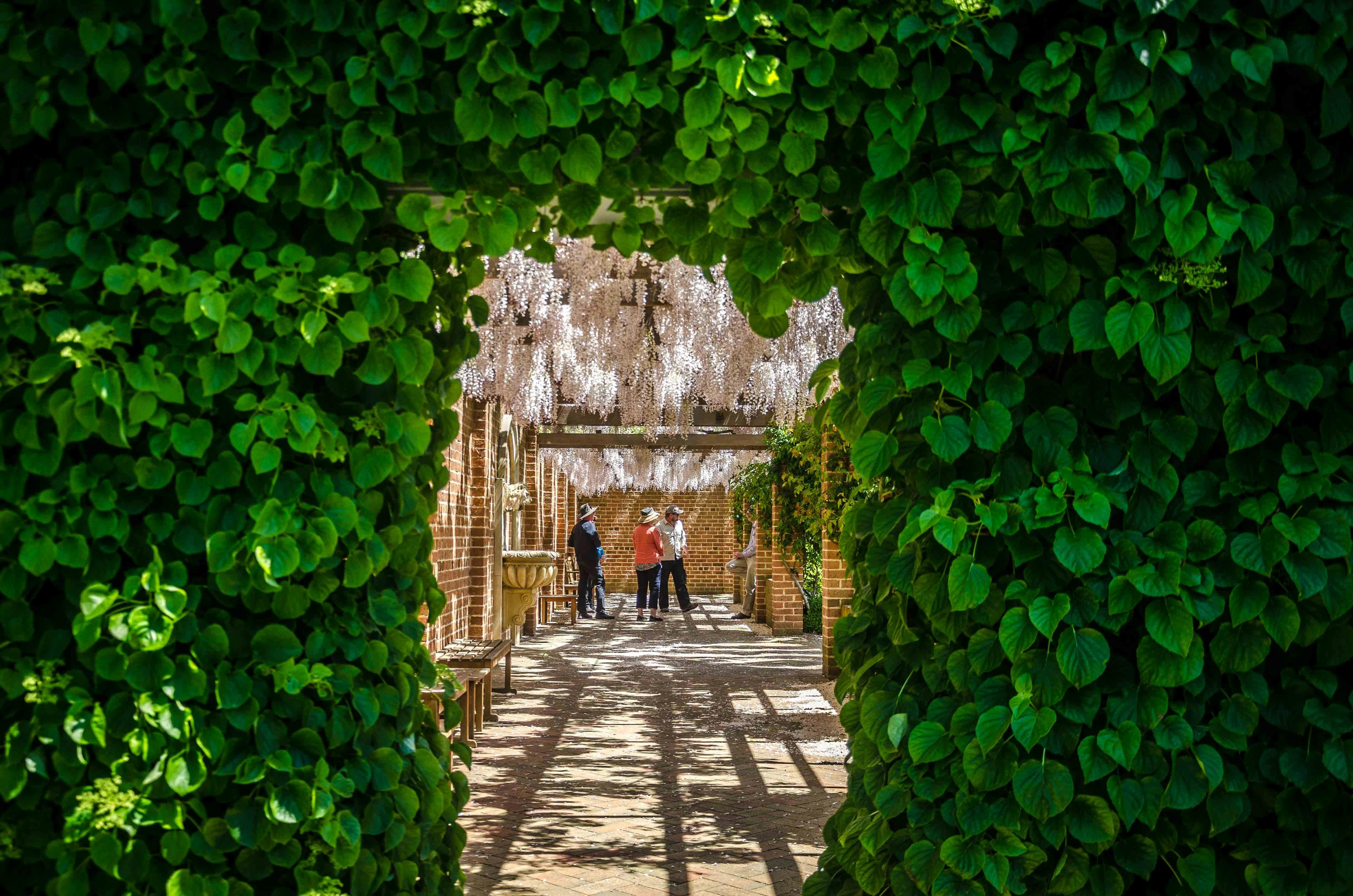 Private Tours of Mayfield Garden