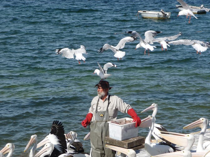 5 Day Kangaroo Island Fleurieu Peninsula Tour SWTKIFP05