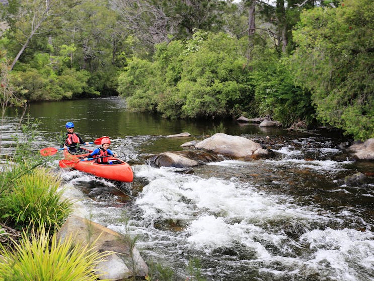 Canoeing the Barrington River with Barrington Outdoor Adventures