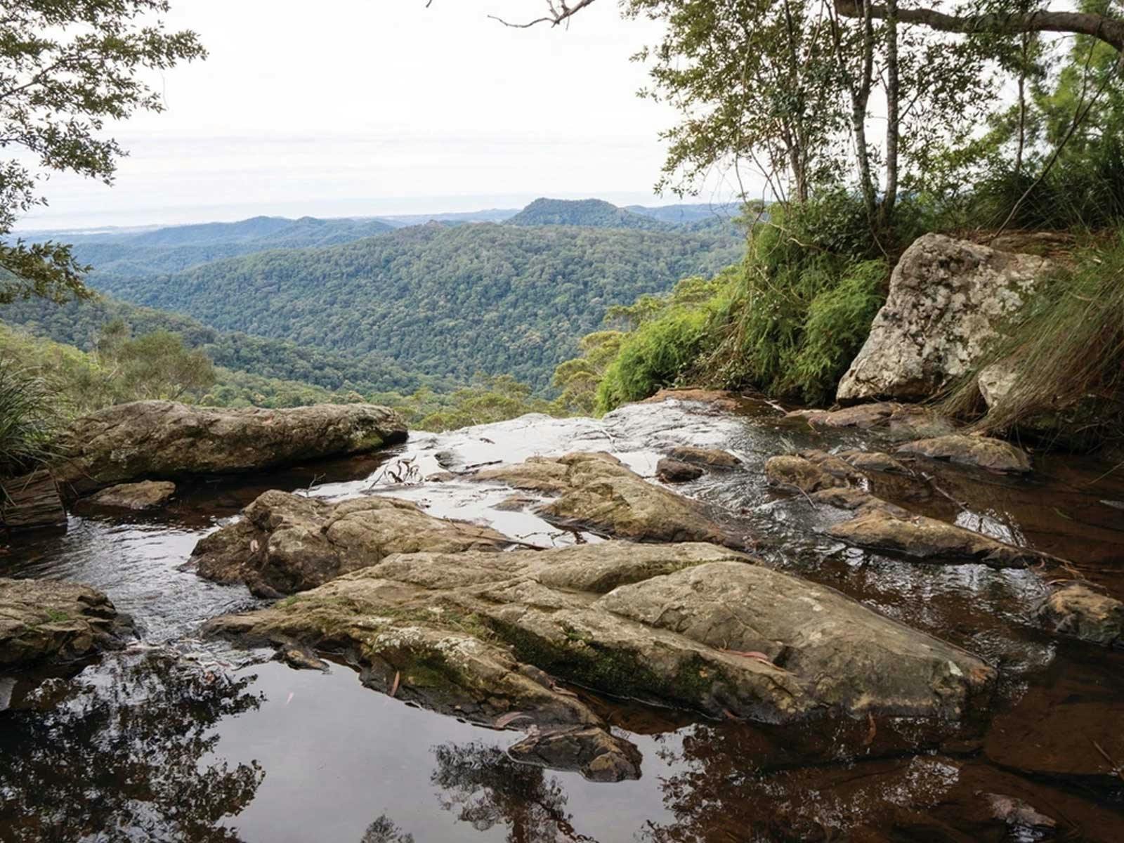 Gold Coast Hinterland Explorer Day Pass