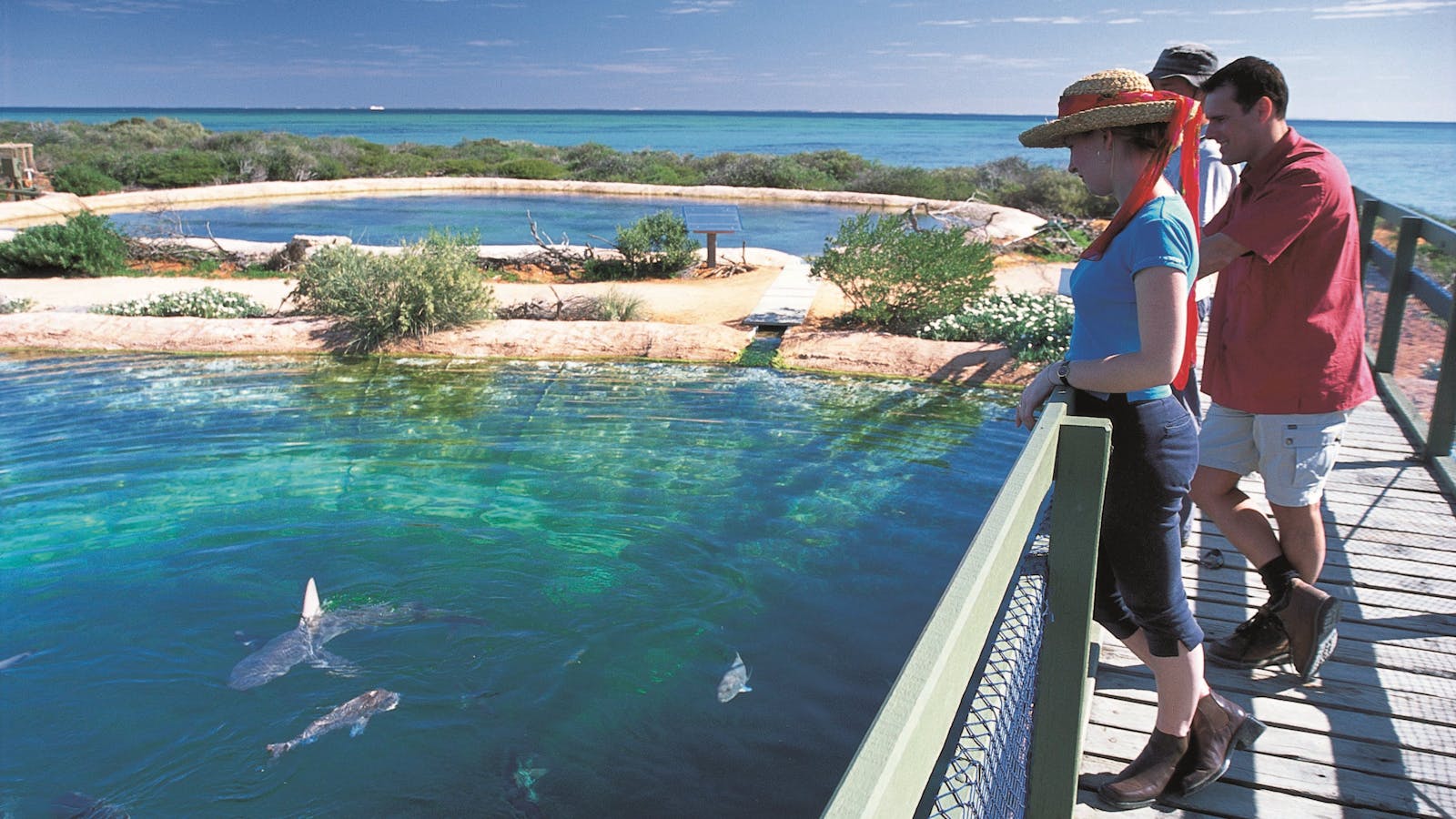 Shark Bay Marine Park