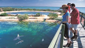 Shark Bay Marine Park
