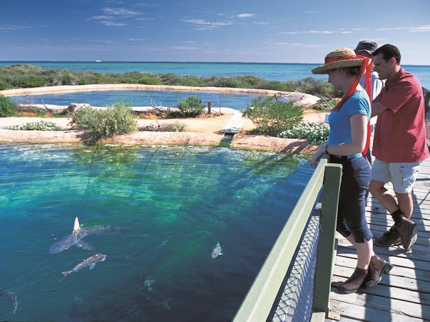 Shark Bay Marine Park