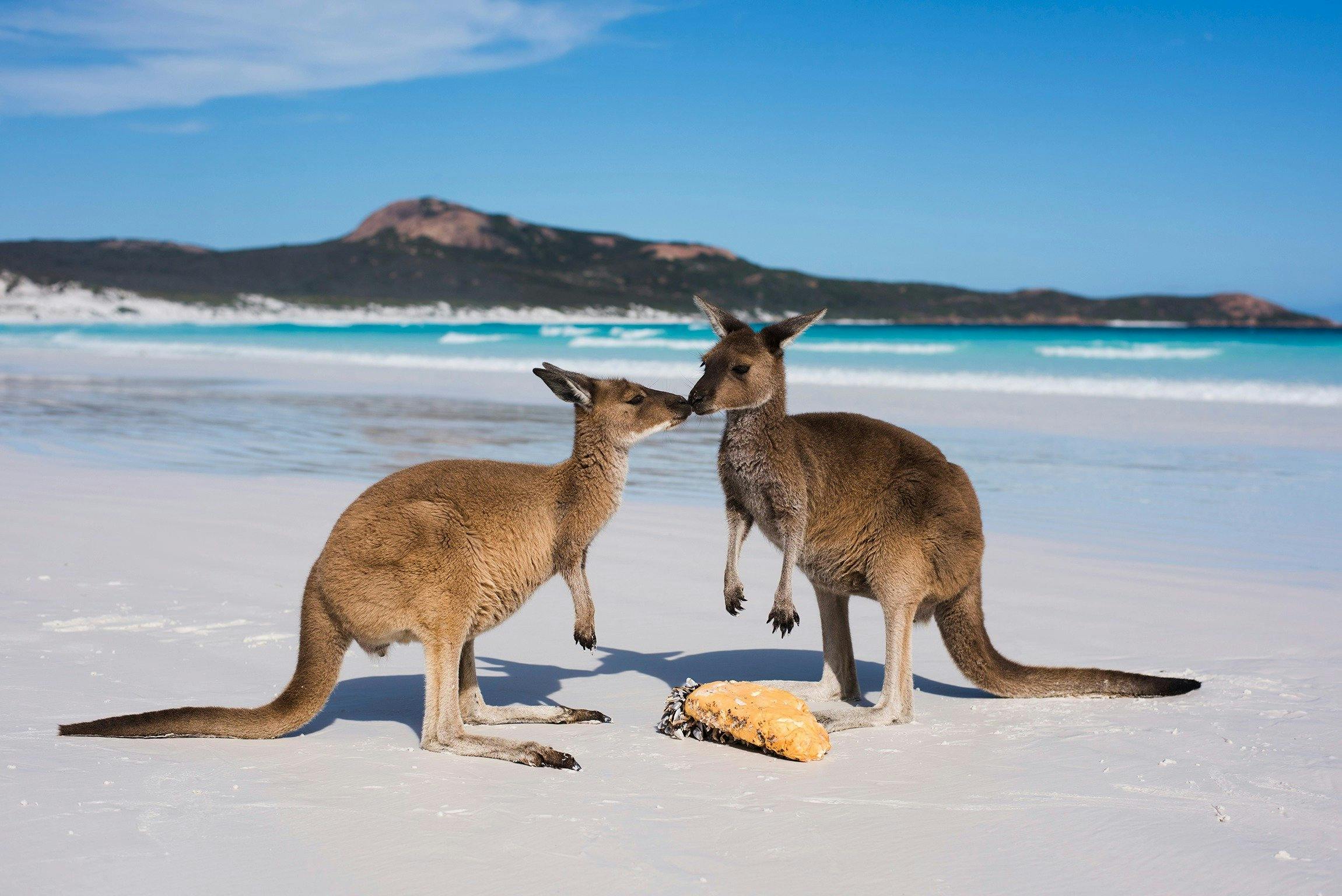 Esperance, Western Australia