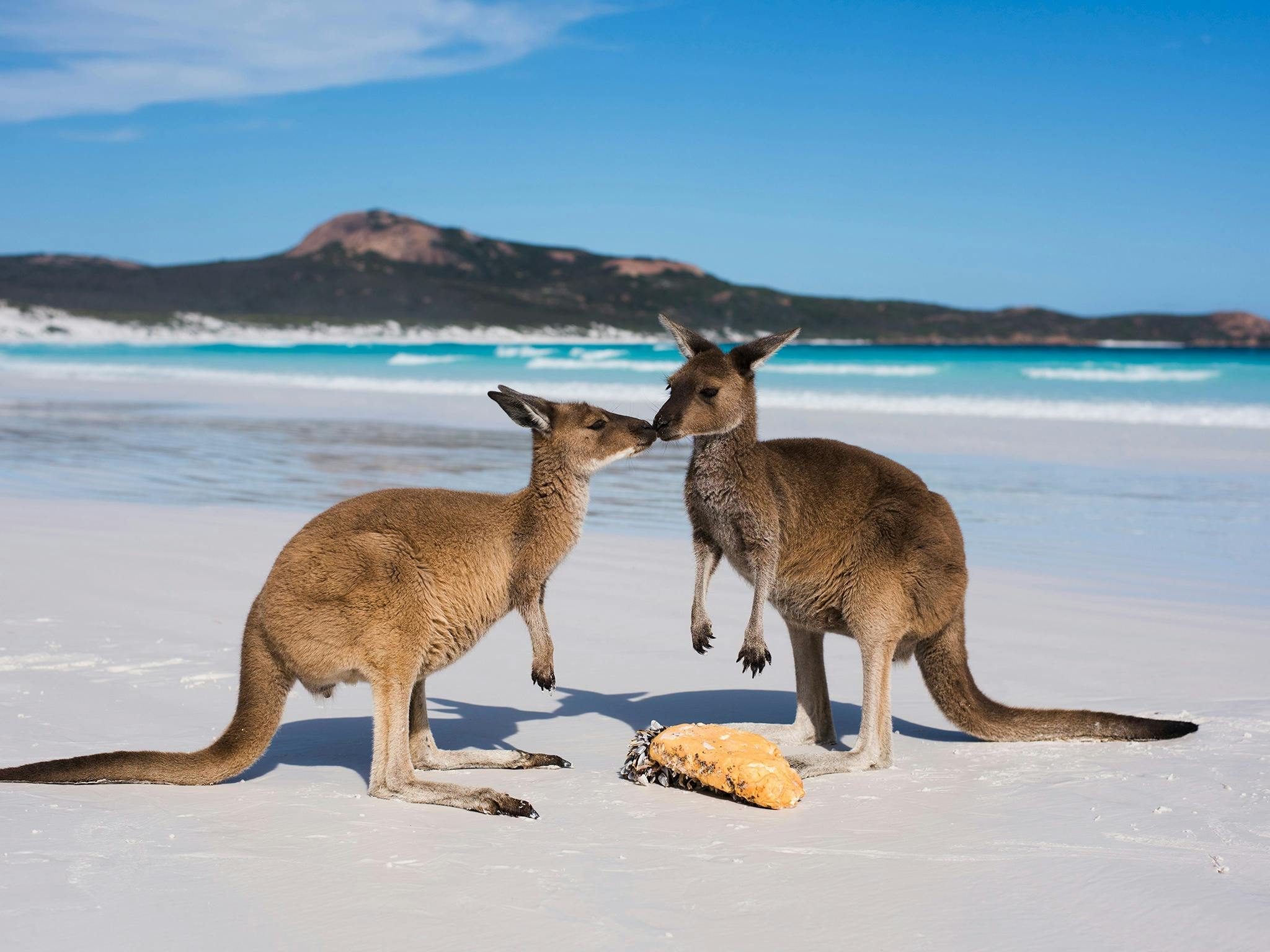 Esperance, Western Australia