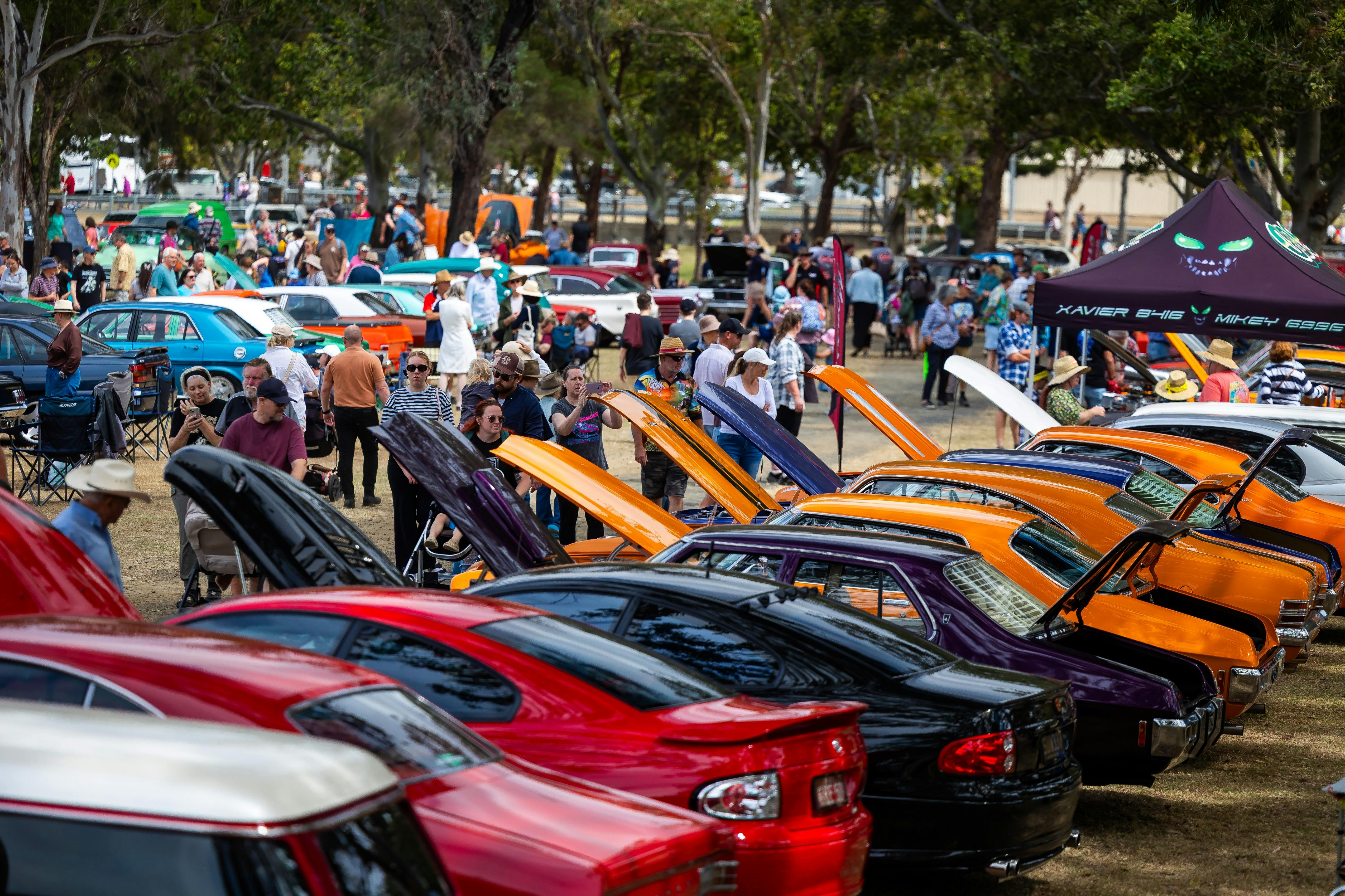 Show n shine 2026
