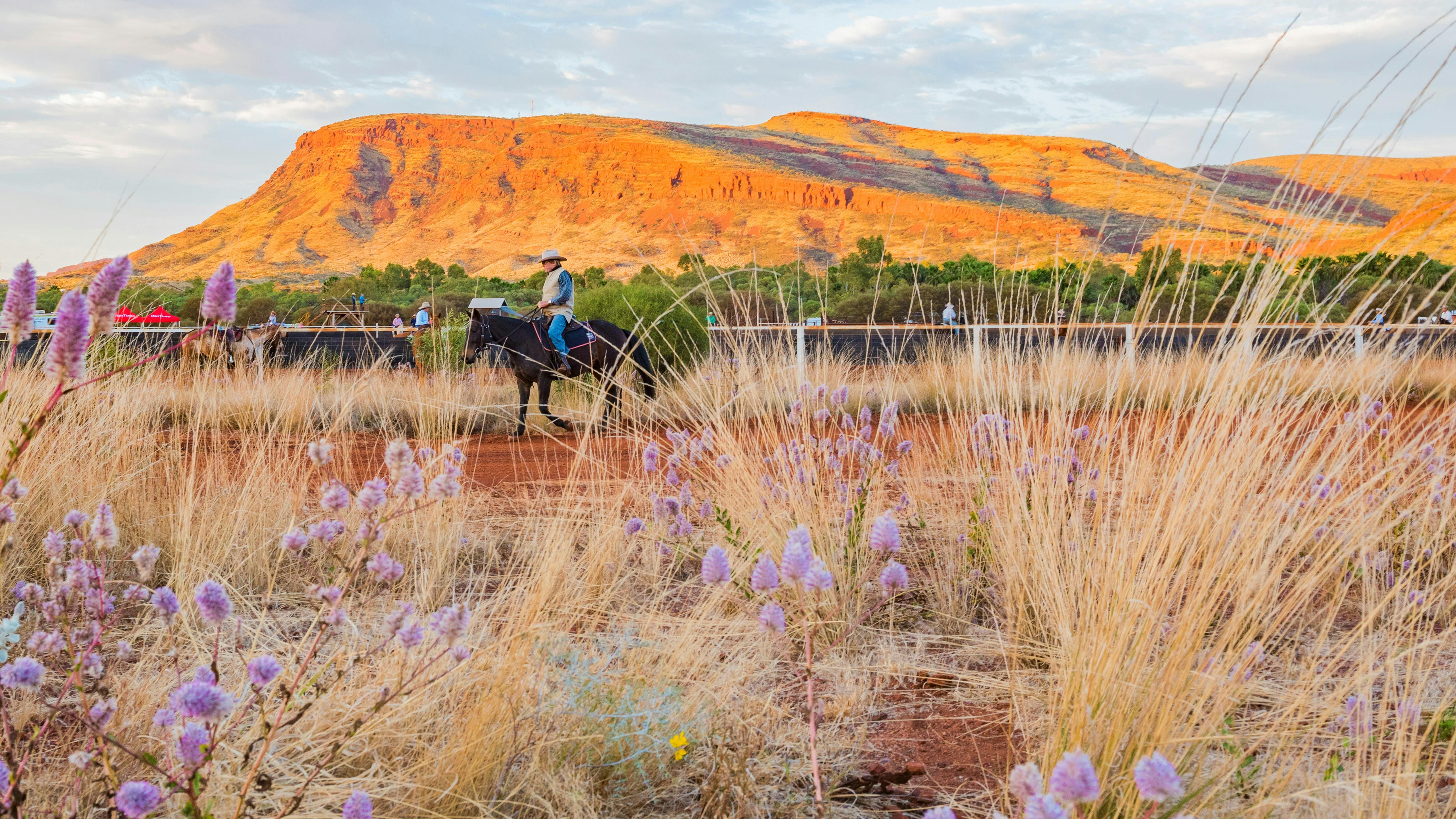 トム プライス Tom Price Destination Tourism Western Australia