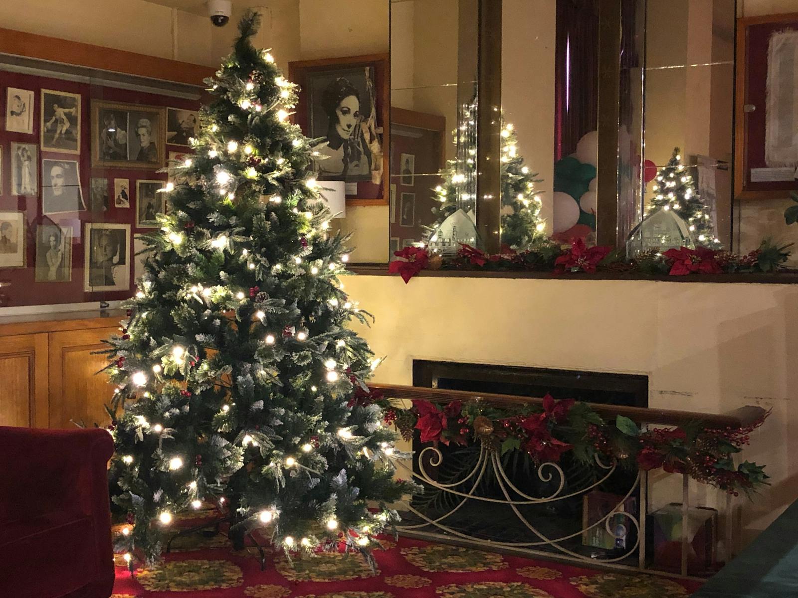 A photo of a Christmas tree with fairy lights, set up in the Princess Theatre foyer.
