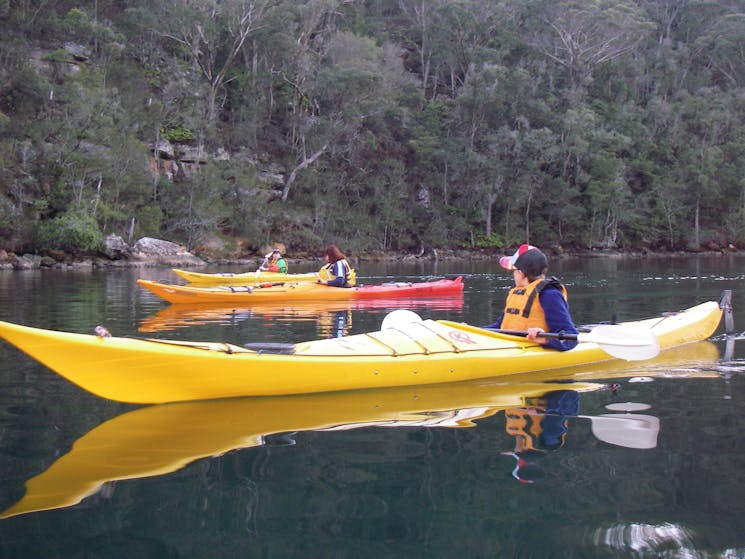 Kayaking Ku-ring-gai NP Kayak Tour