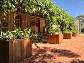 Cockburn House backyard with pergola and beautiful lawns in Jamestown