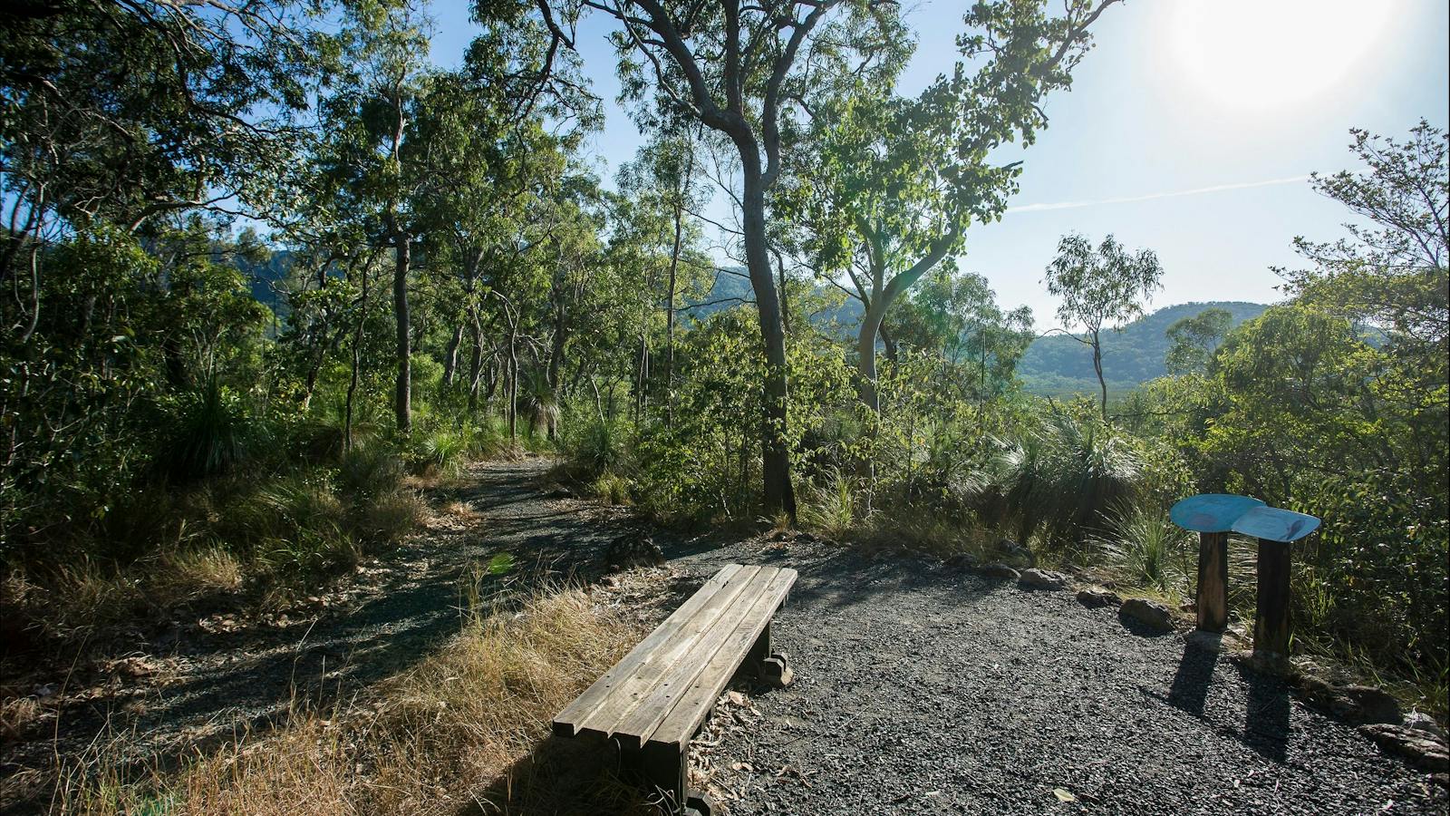 How to holiday on The Hibiscus Coast with your family