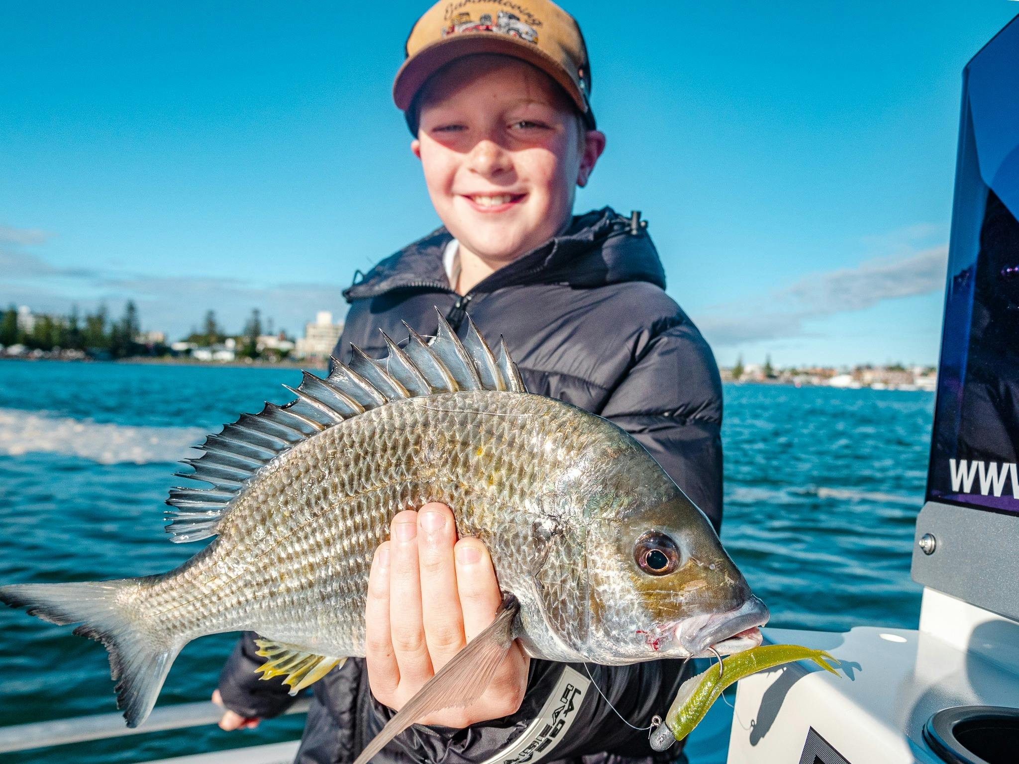 Yellowfin bream caught lure fishing