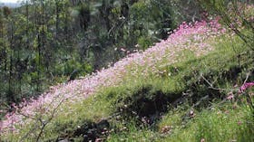 Ellis Brook Valley Reserve