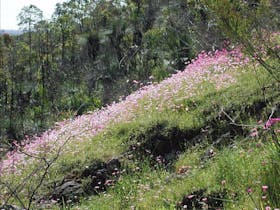 Ellis Brook Valley Reserve