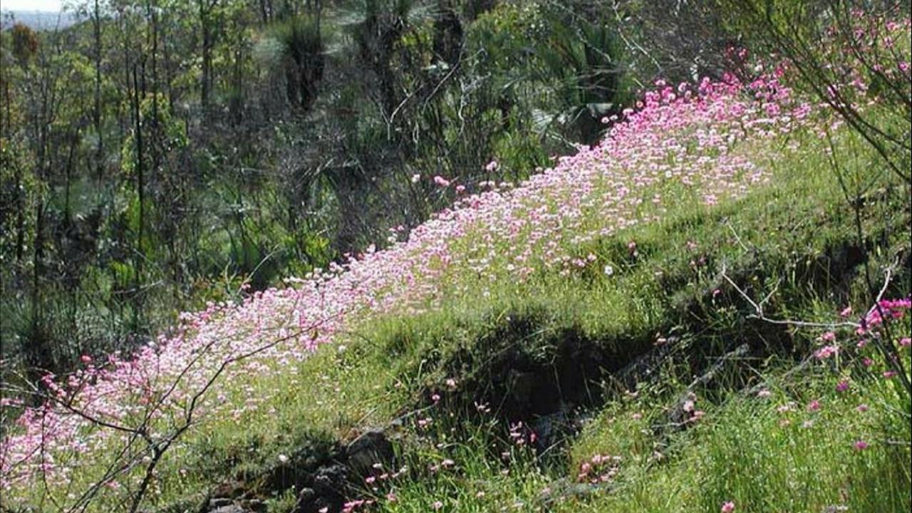 Ellis Brook Valley Reserve