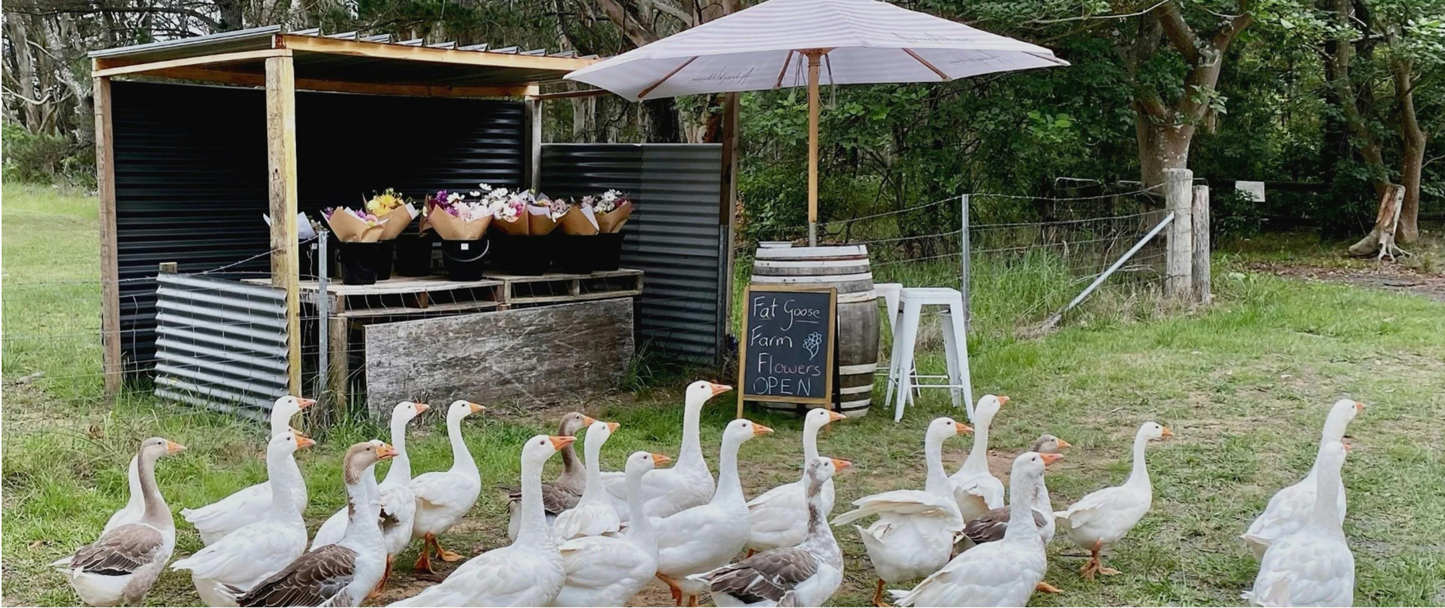 Fat Goose Farm