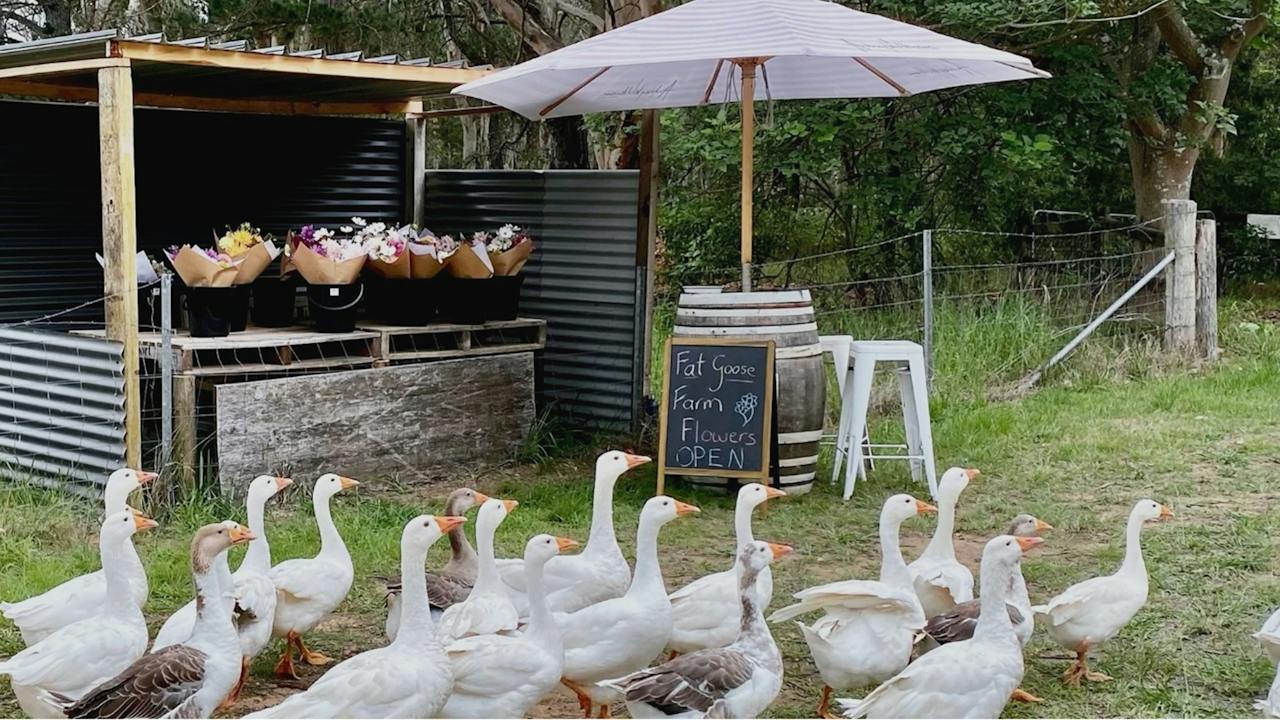 Fat Goose Farm
