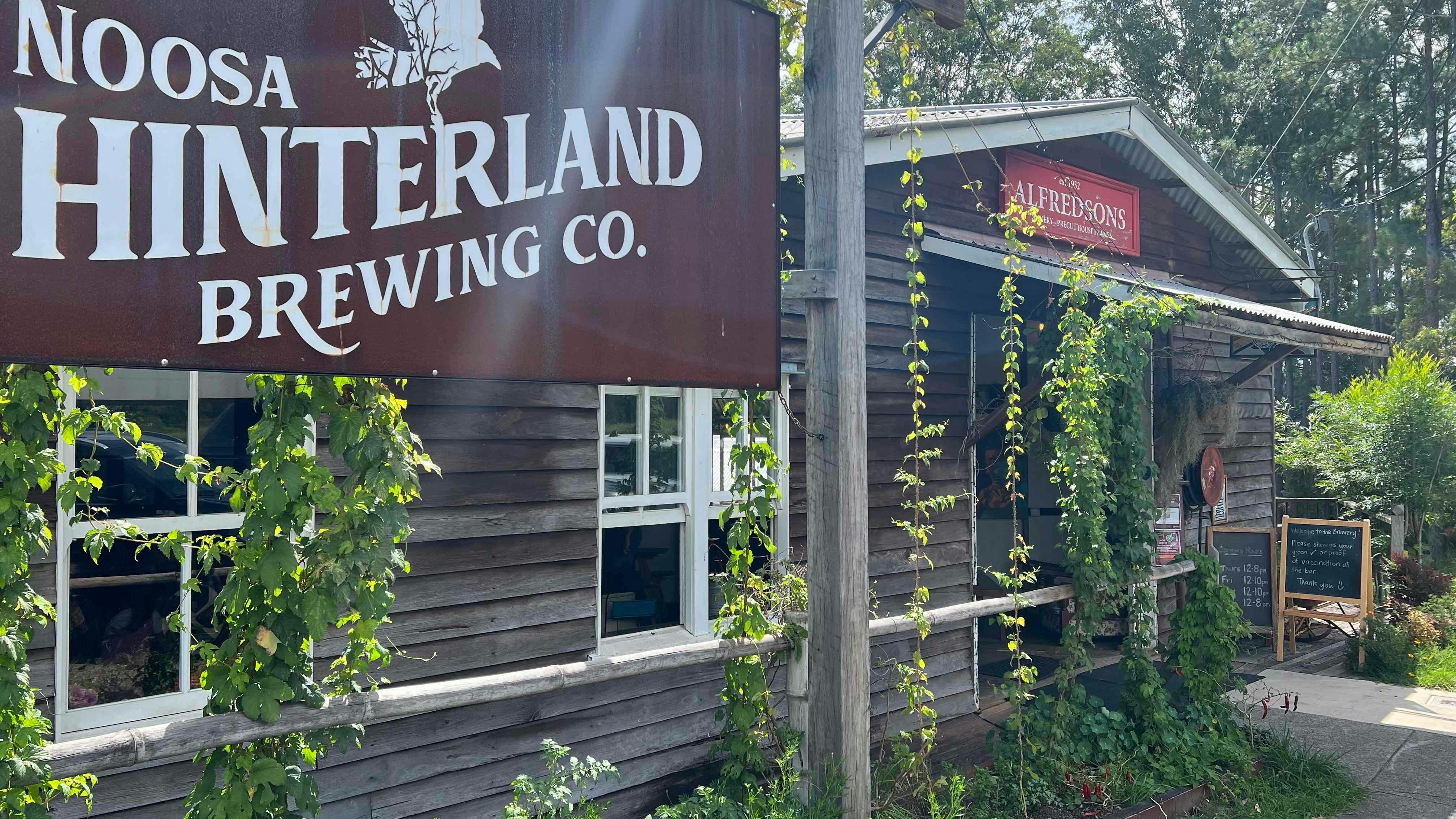 Noosa Hinterland Drinks Tour with Brewery, Distillery, Meadery & Winery