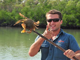 Cobourg Mud Crab