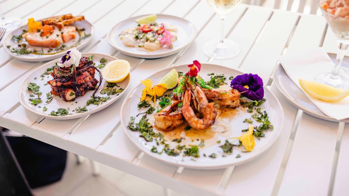 Share plates, tapas and entree meals to share... fresh seafood full of flavour.