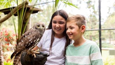 2 Children meeting and handling a barking owl during an encounter at the National Zoo and Aquarium