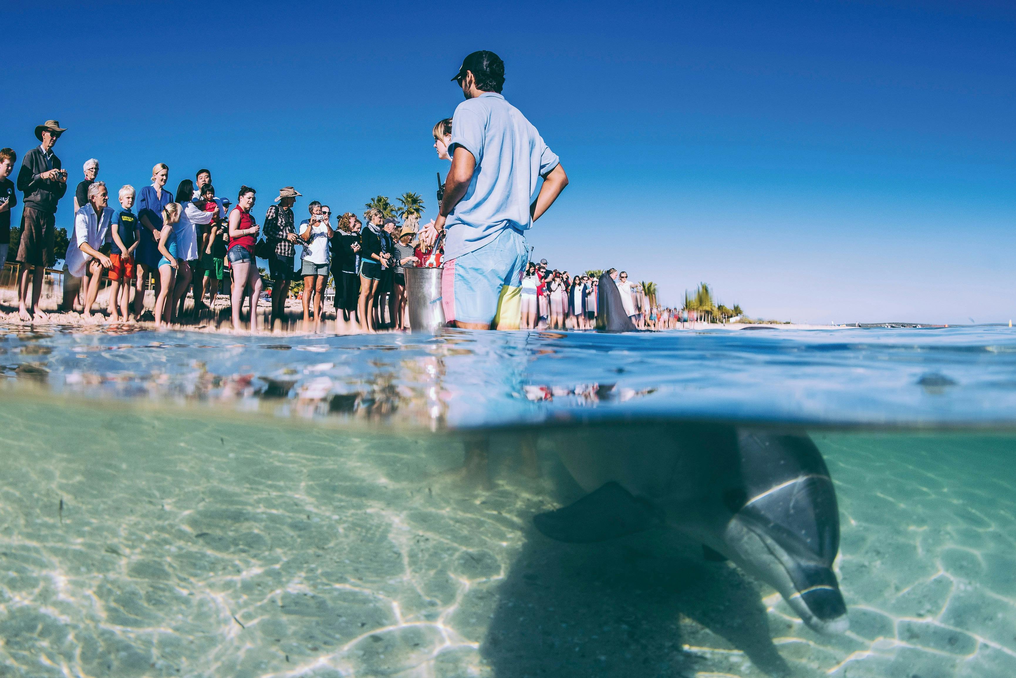 Perth to Broome itinerary, Monkey Mia, Western Australia