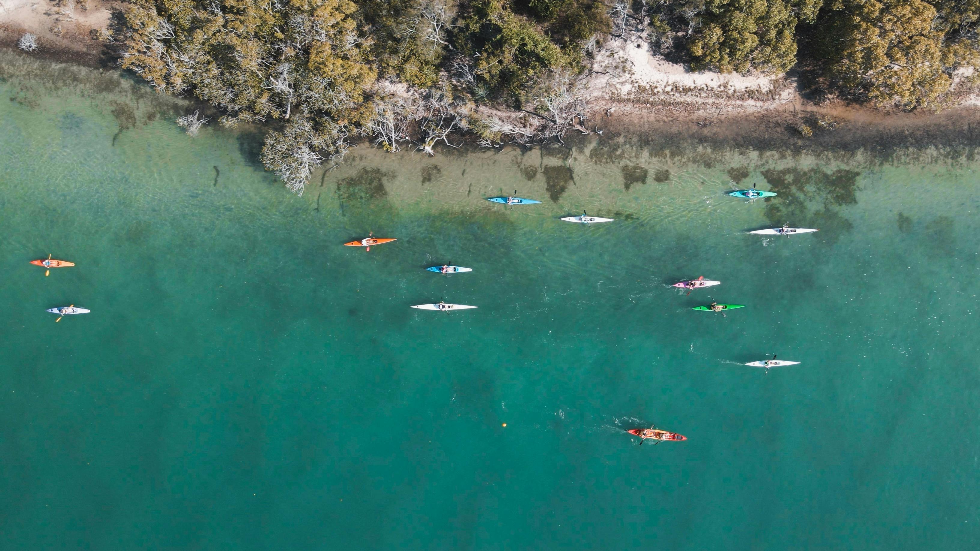 Kayak the stunning Noosa River