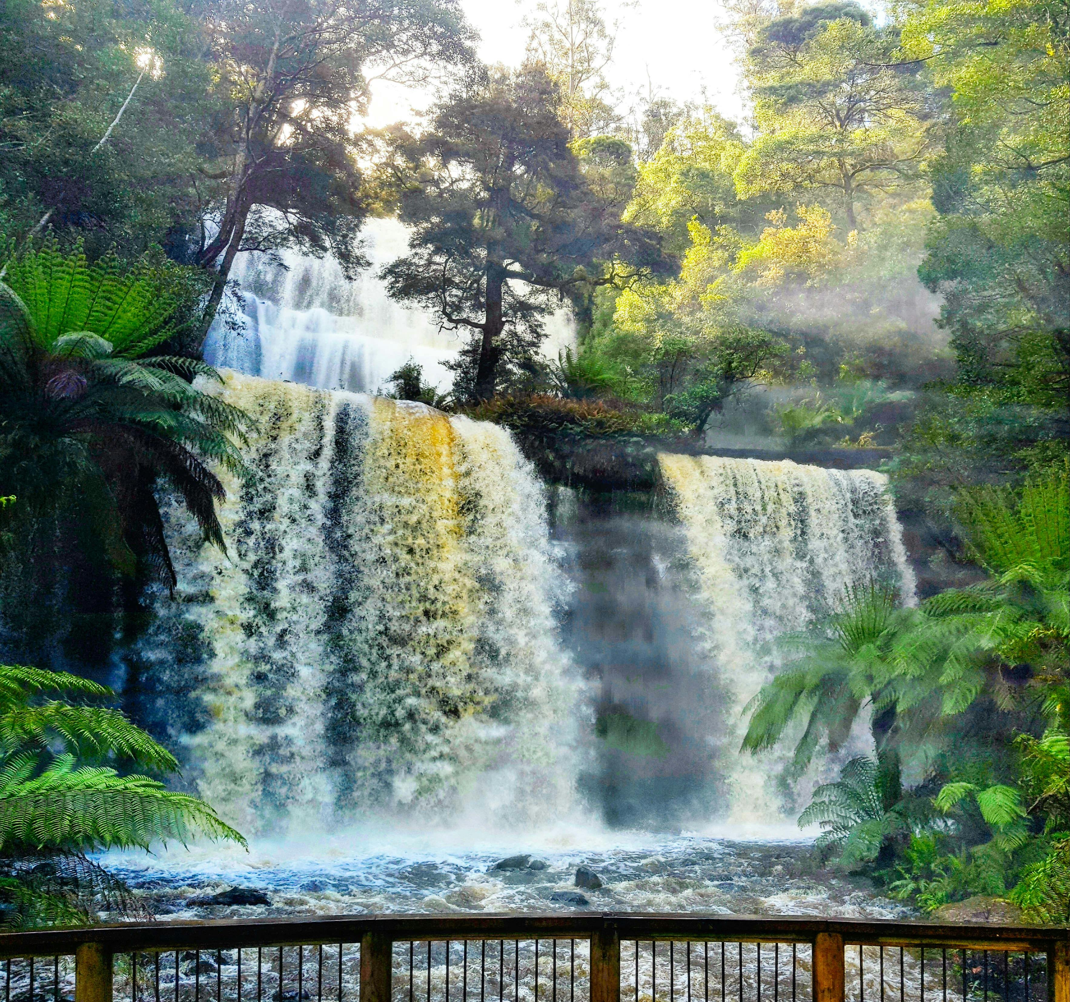 Russel Falls in flood with Fun Tassie Tours.
