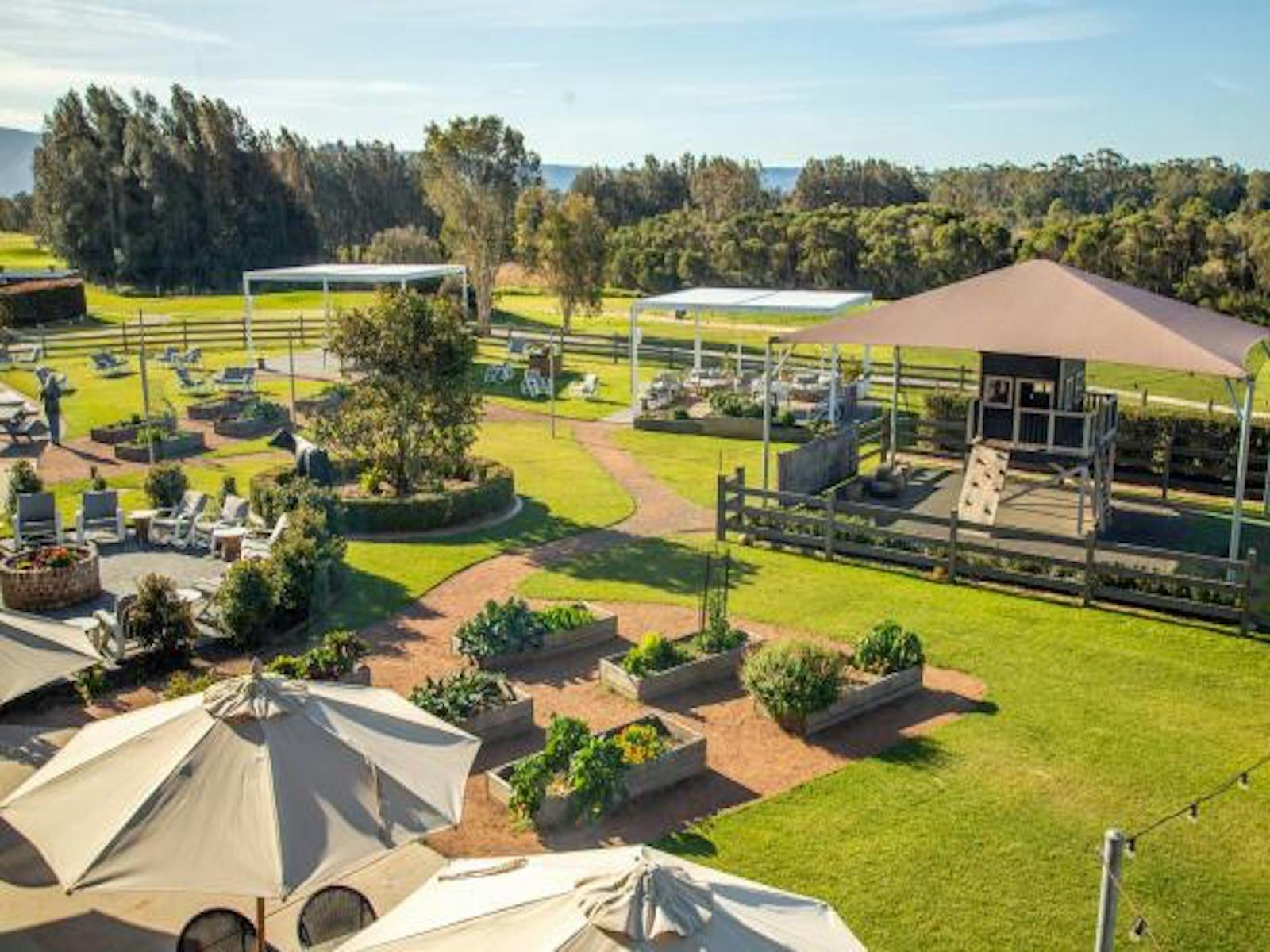 The Growers by Ponte, Grazing event, Worrigee,