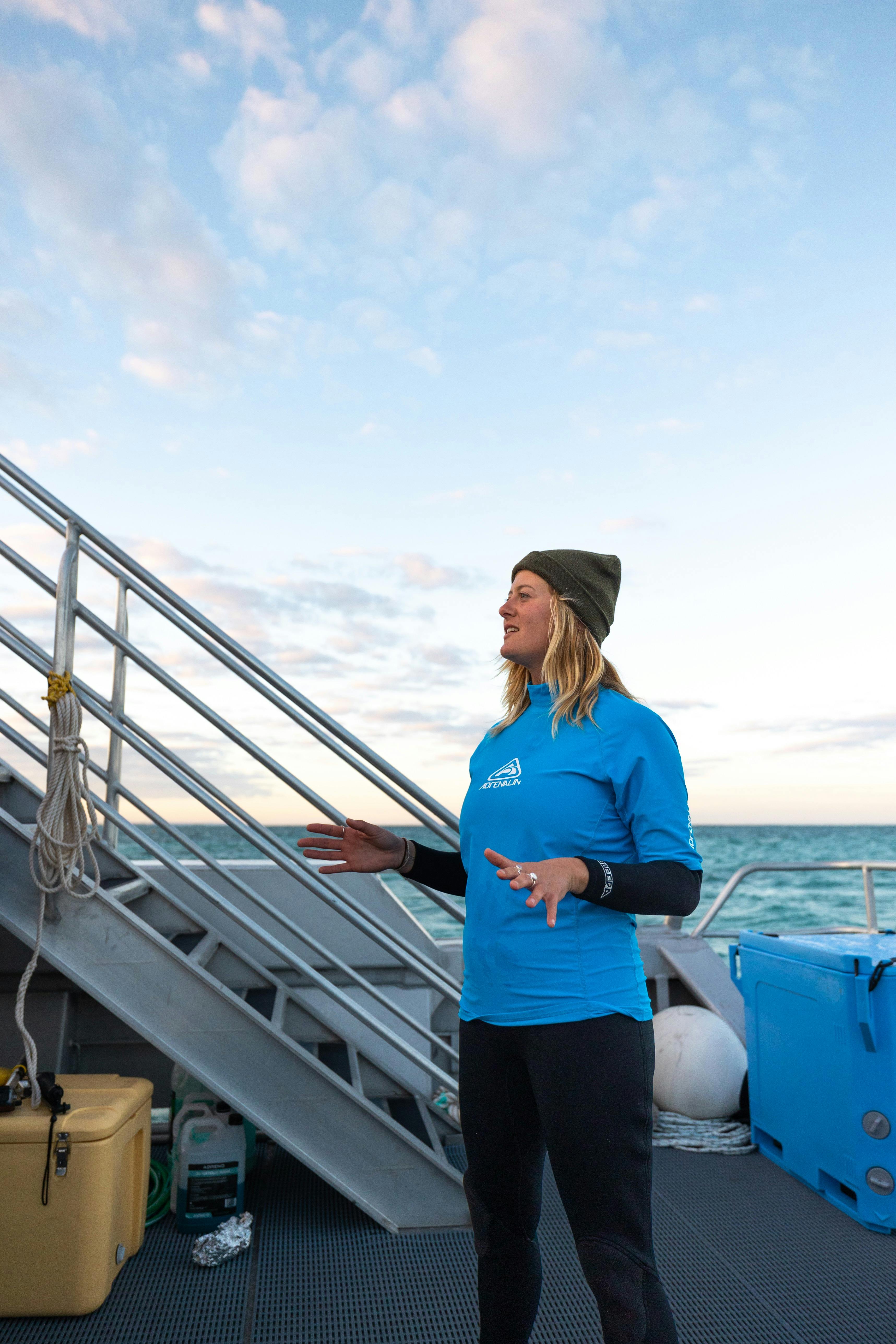 Expert Guided Sea Lion Tours