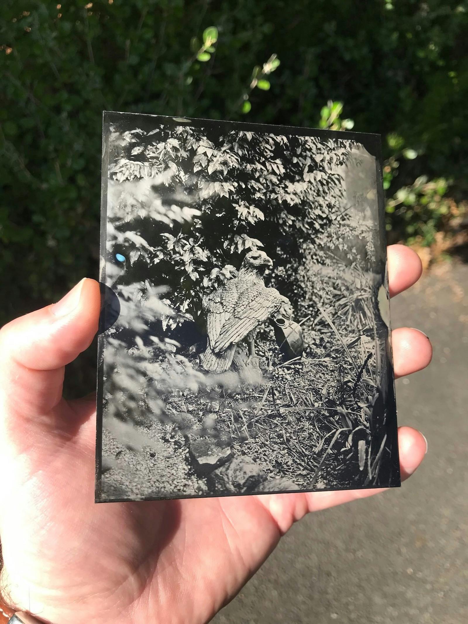 Wet Collodion Workshop