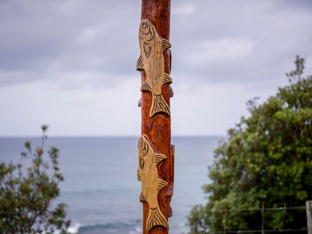 Aboriginal Carved Poles Callala and Crookhaven Heads