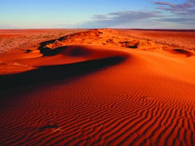 Big Red, Birdsville