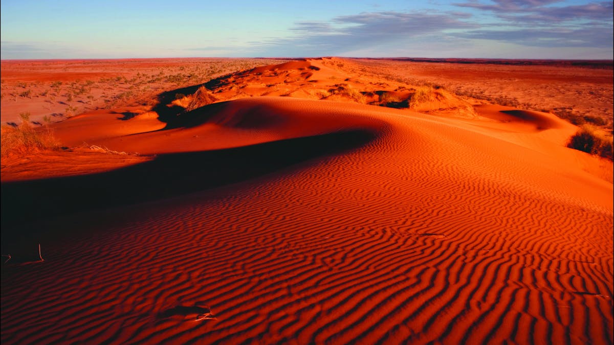 Big Red, Birdsville