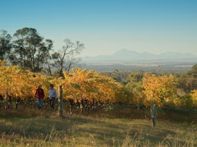 View from vineyard to the Stirling Range National Park
