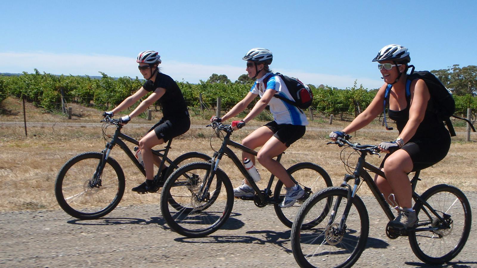 hills vines and wines by bike