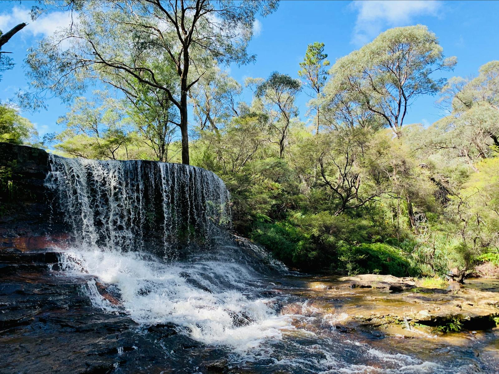 Small waterfall which is upstream a little from Wentworth Falls