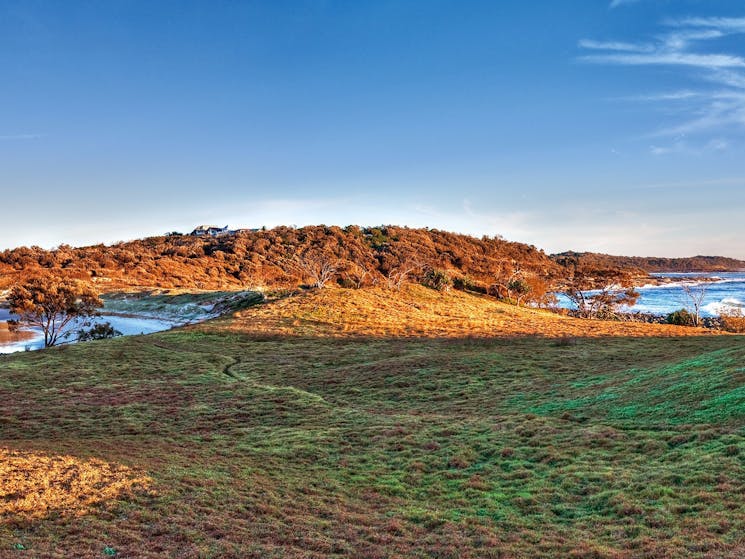 Angourie Headland