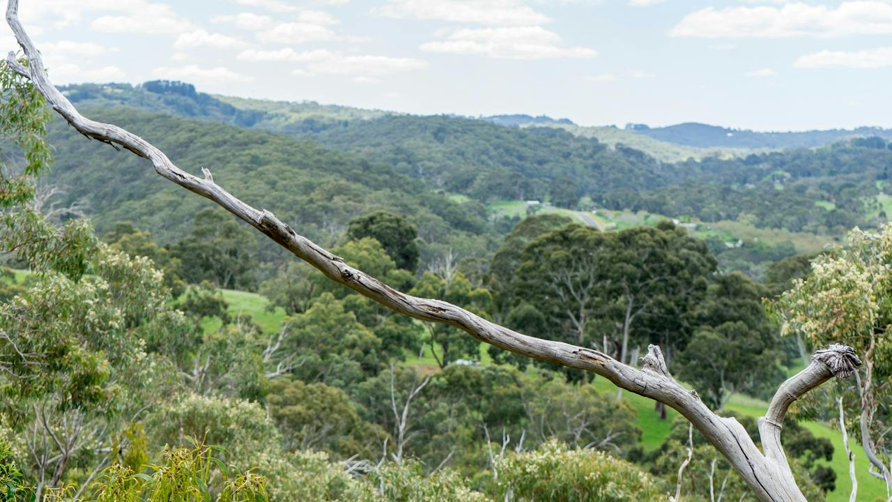 Scott Creek Conservation Park