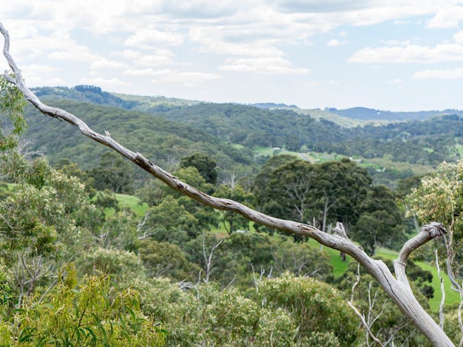 Scott Creek Conservation Park