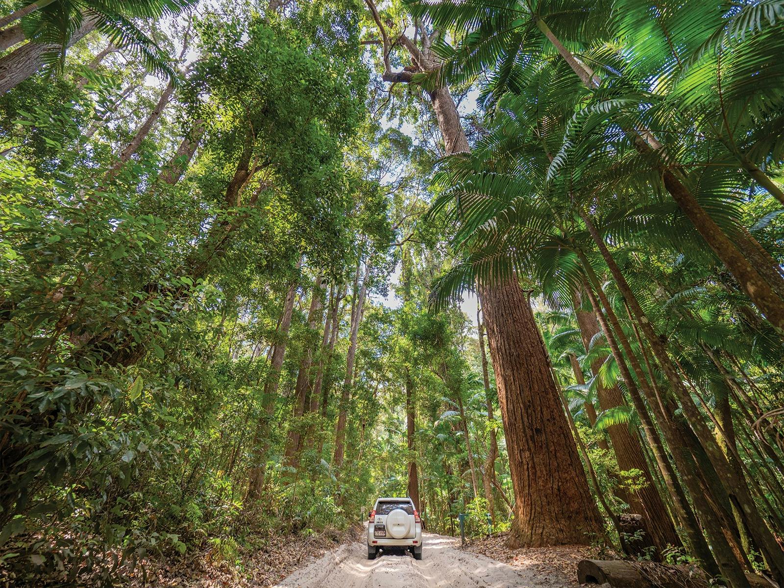Full Day Personalised 4WD Tour Departing Kingfisher Bay Resort