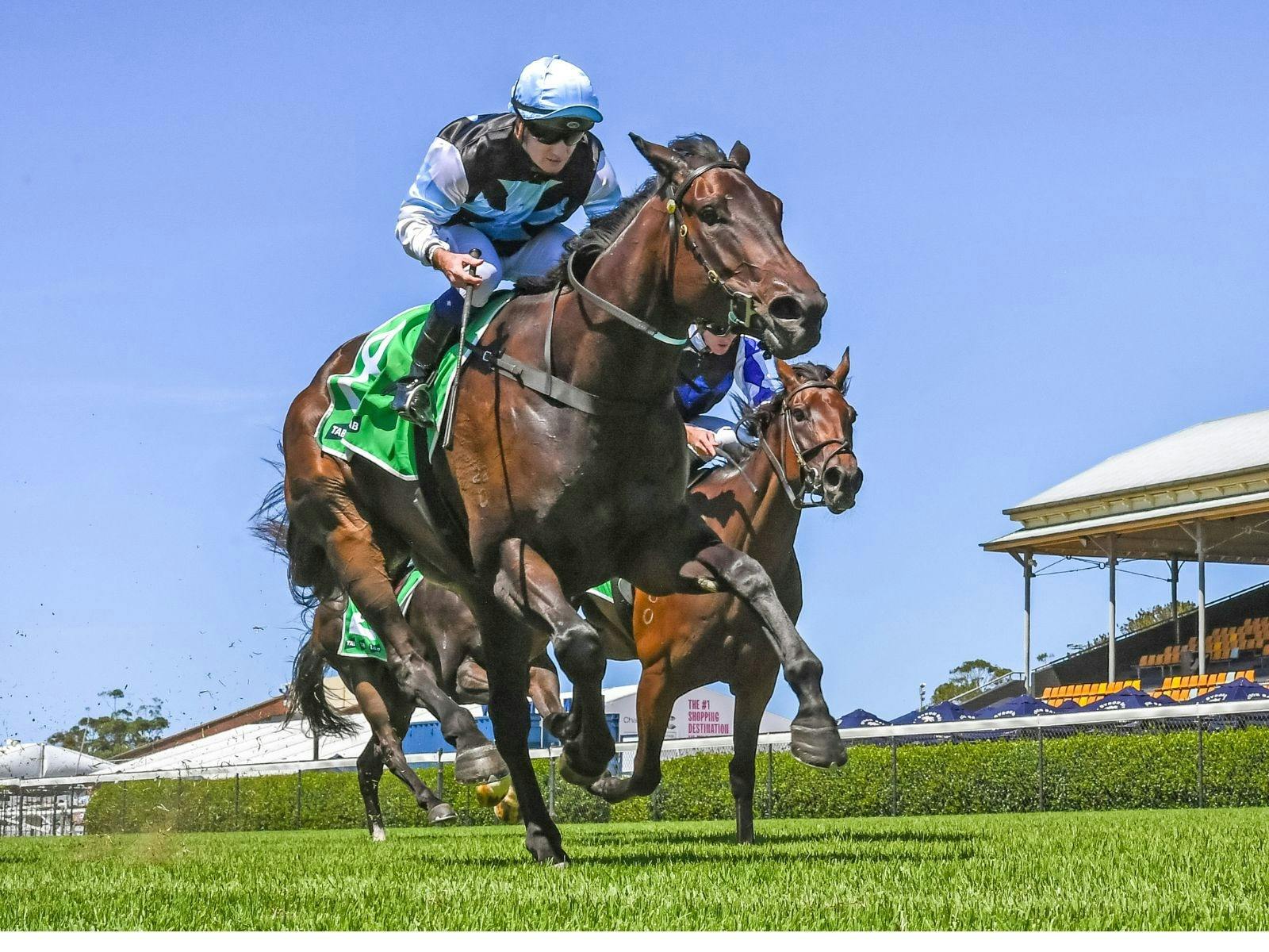 Racing at Newcastle Racecourse