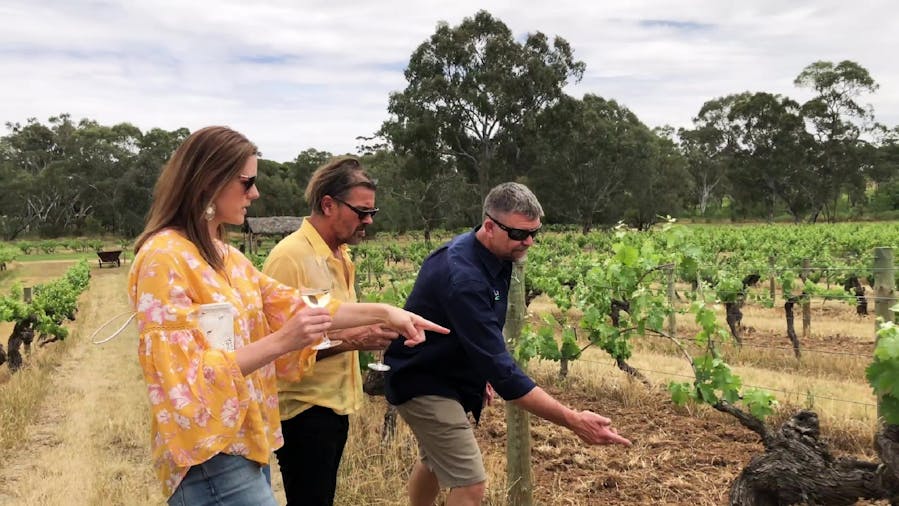 Taste the Barossa 'Day of Indulgence' Private tour