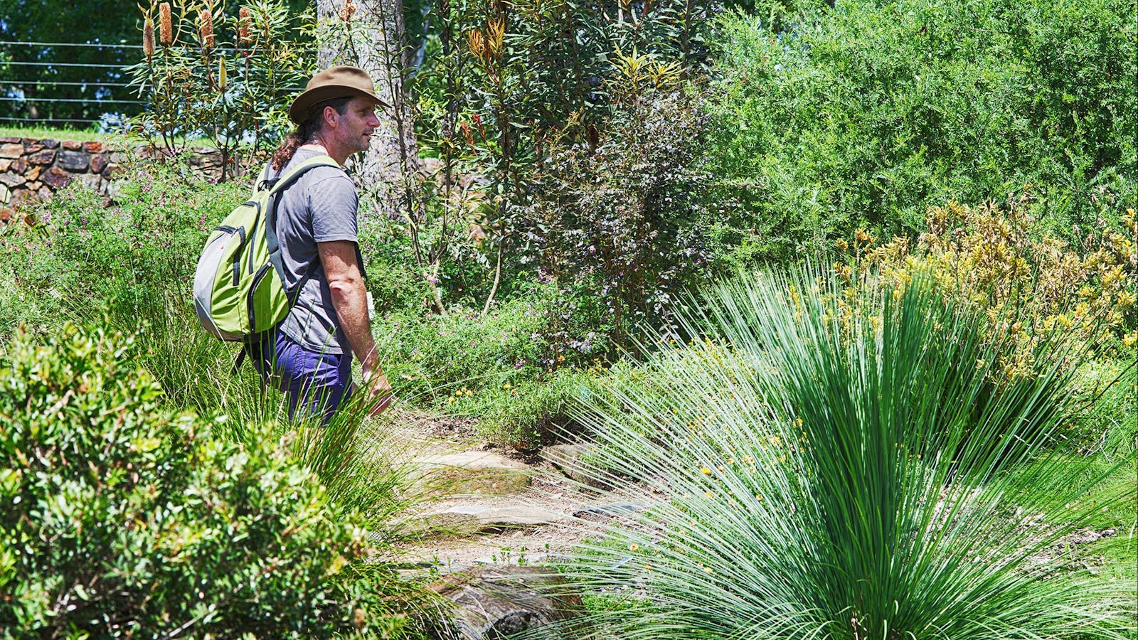 Gold Coast Regional Botanic Gardens