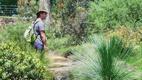 Gold Coast Regional Botanic Gardens