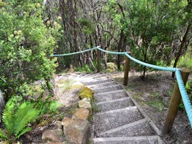 Leven Canyon Forest Stairs