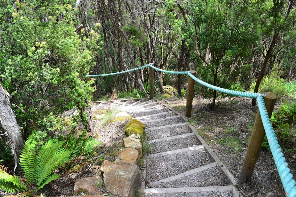Leven Canyon Lookout Track photo