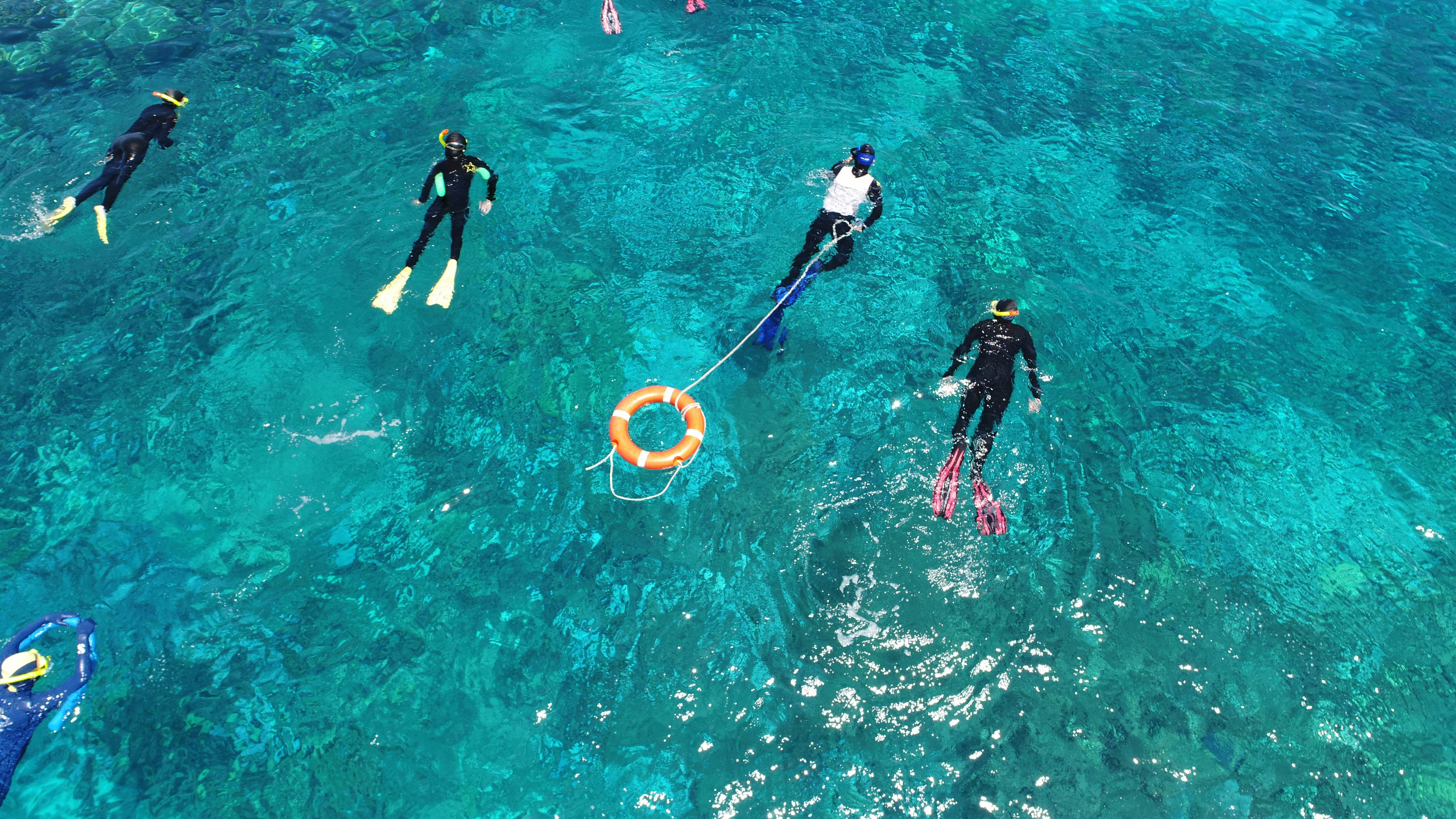 Guided Snorkel Tour