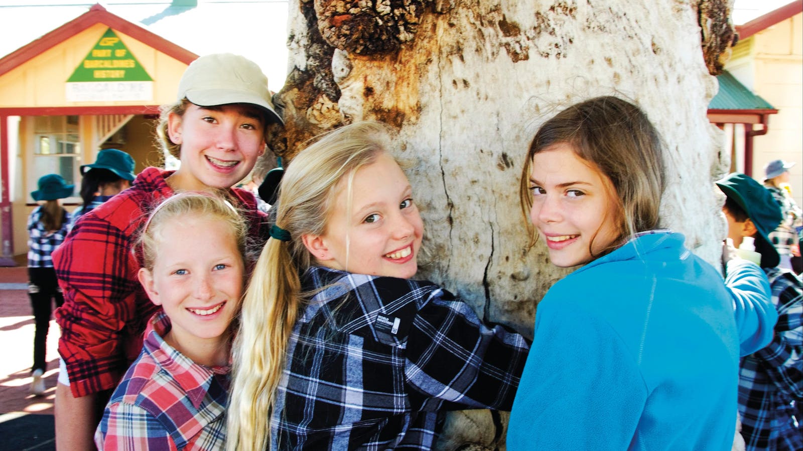 Tree of Knowledge Barcaldine
