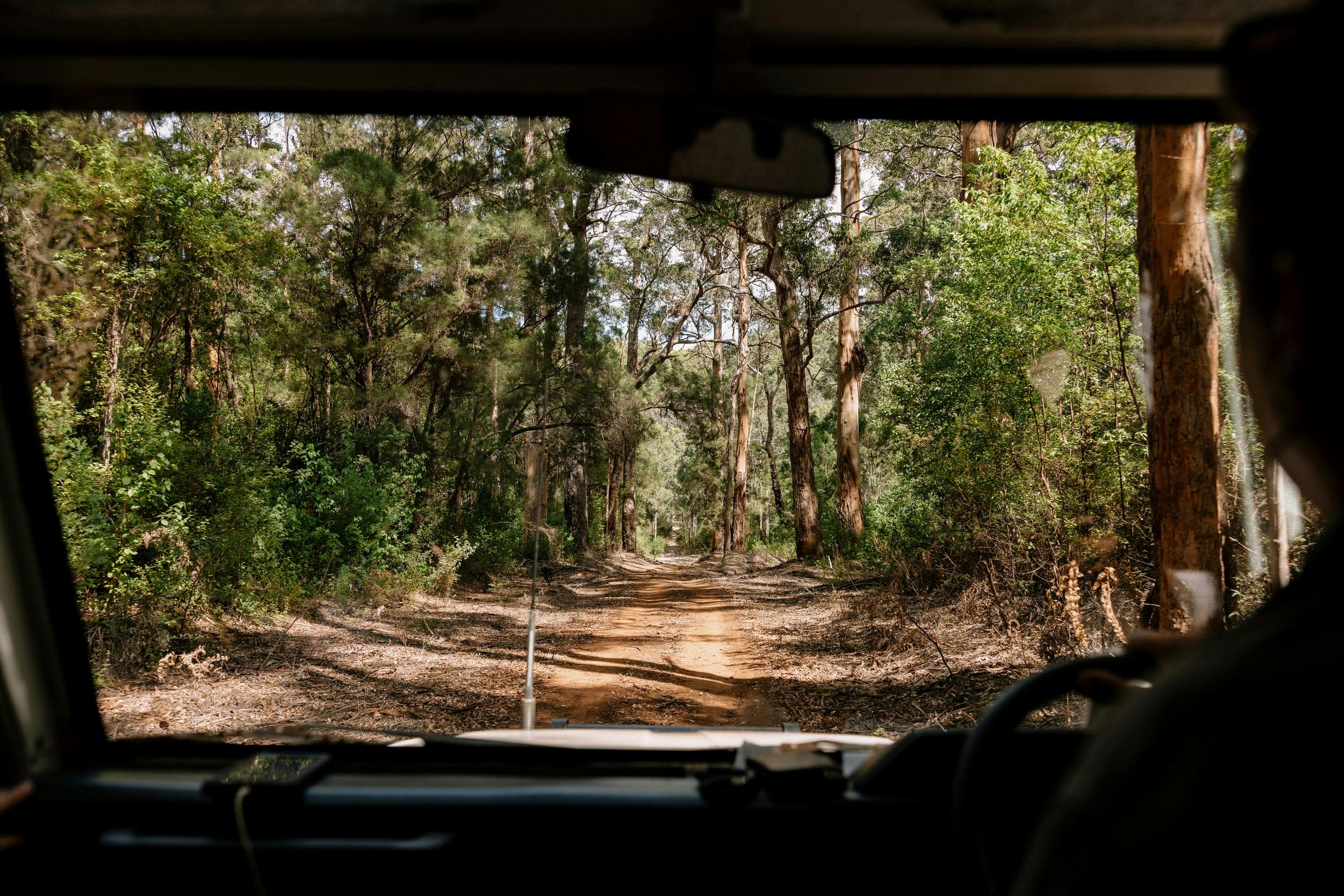 The Beach & Forest Eco Adventure with Pemberton Discovery Tours